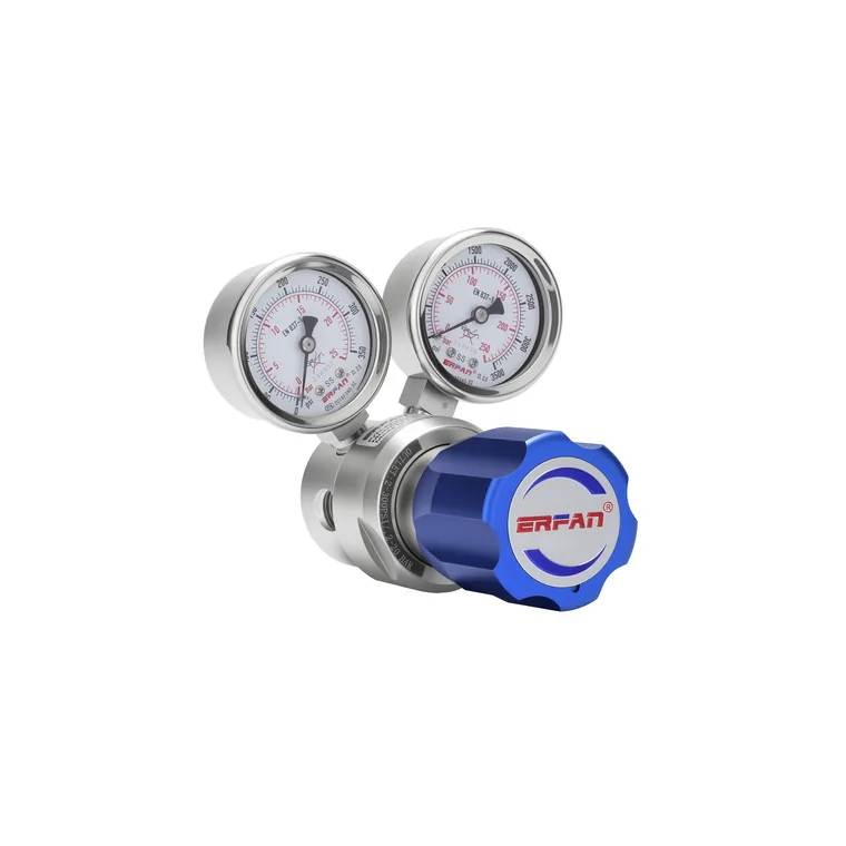 R11系列小流量减压器